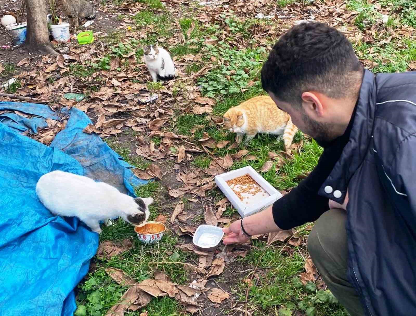 Öğrencilerden Sokak Hayvanlarına Şefkat