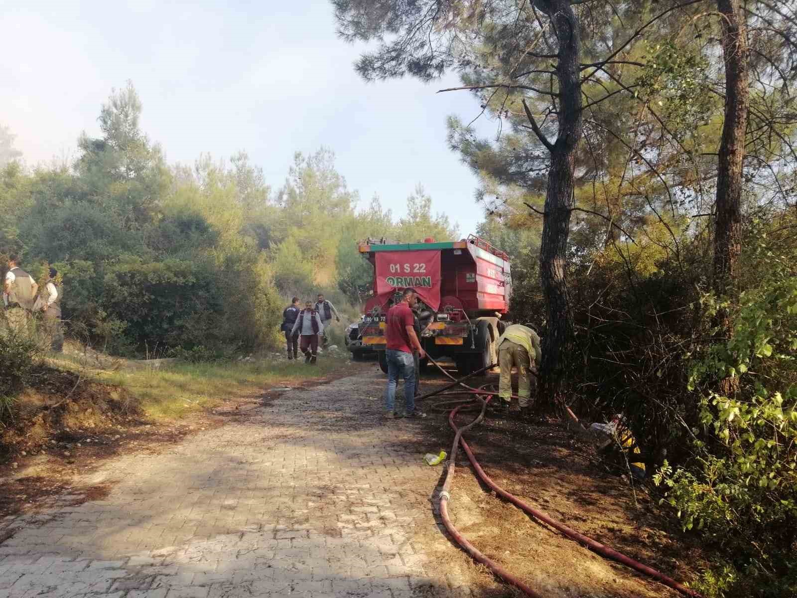 Osmaniyede Orman Yangını Başladı