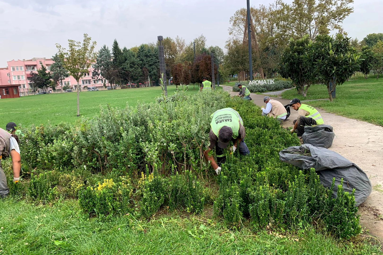 Sakarya'da şehrin dört bir yanına sonbahar dokunuşu