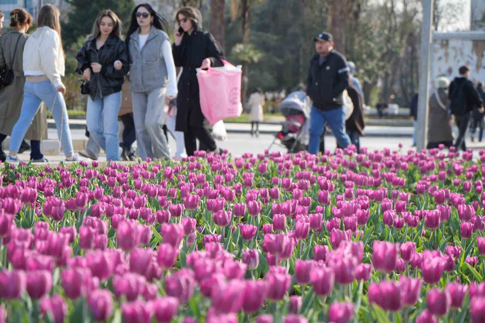 Samsunda Lale Zamanı