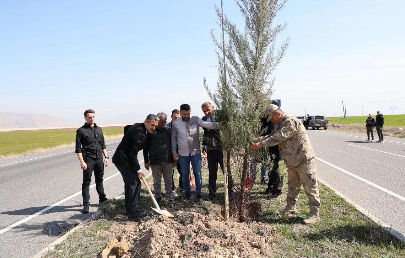 Şırnak Şerafettin Elçi Havalimanında Ağaçlandırma Çalışması