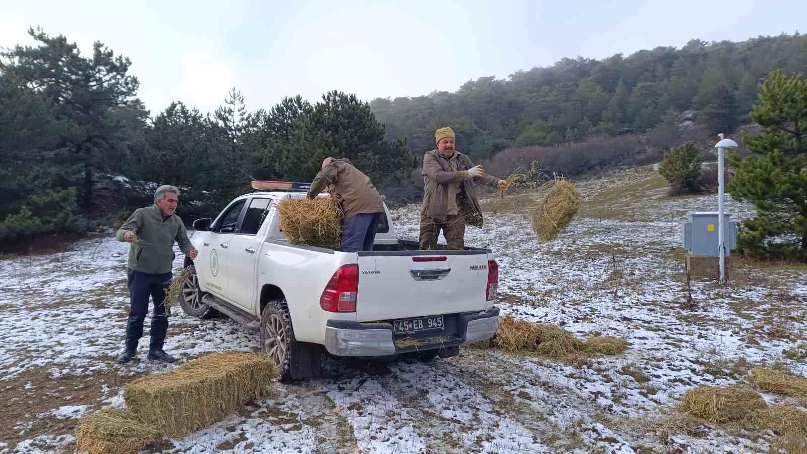 Spilde Yaban Hayatı Unutulmadı