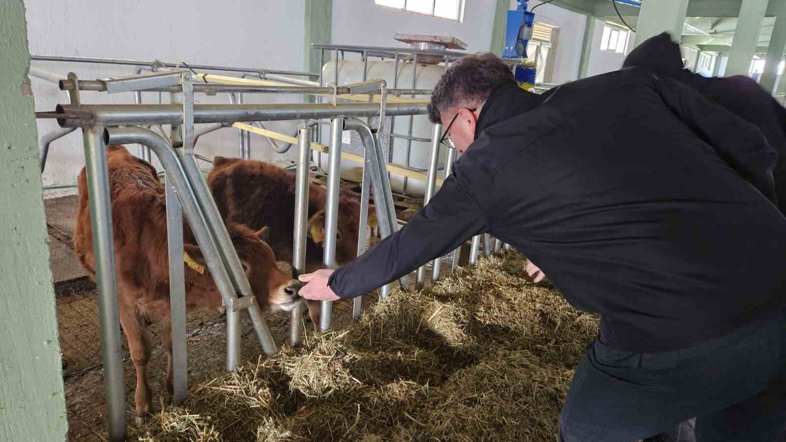 Tarım Ve Orman İl Müdürlüğünden Tepebaşındaki İşletmeye Ari İşletme Sertifikası