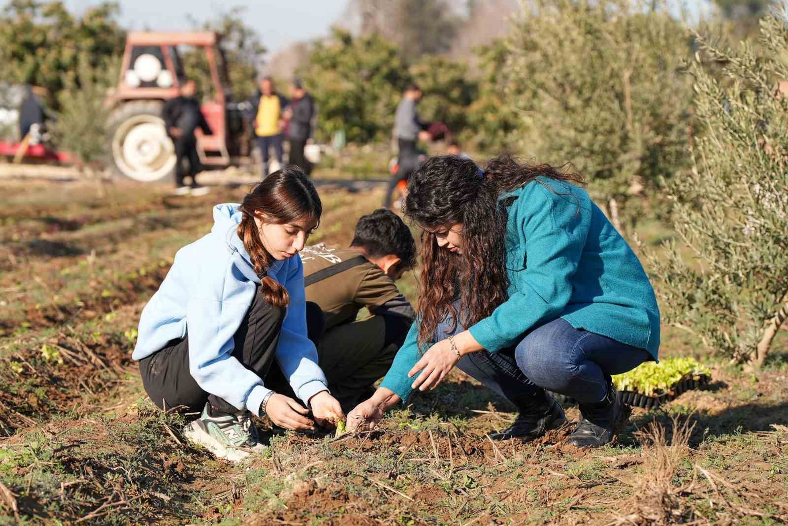 Tarsusta 5 Bin Marul Fidesi Toprakla Buluşturuldu