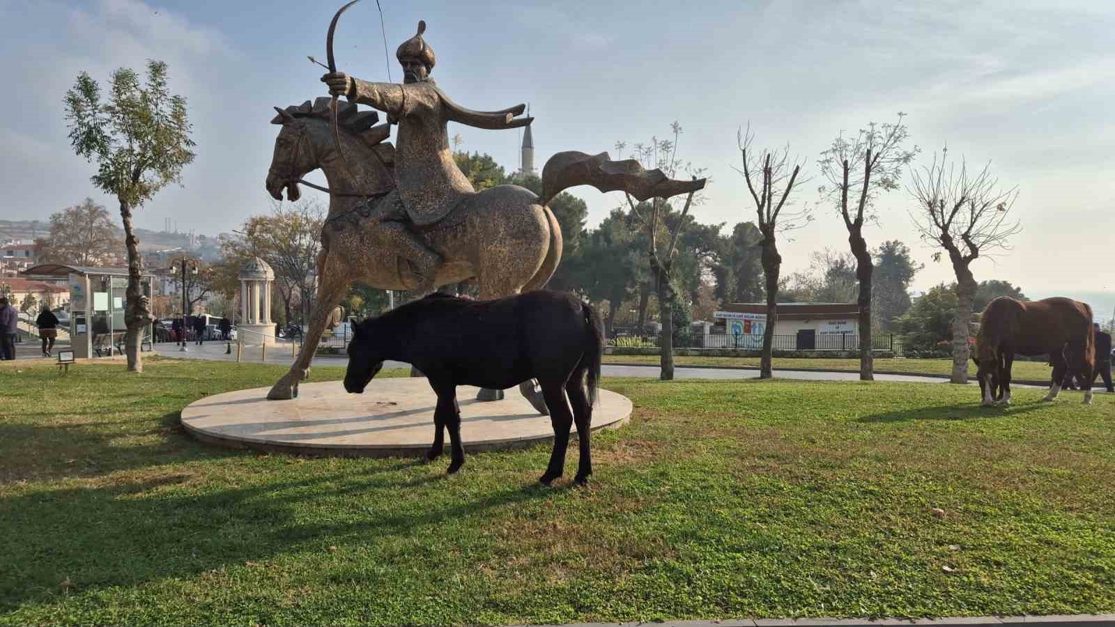 Tekirdağda Atlı Heykeli Mesken Tutan Başıboş Atlar İlgi Odağı Oldu