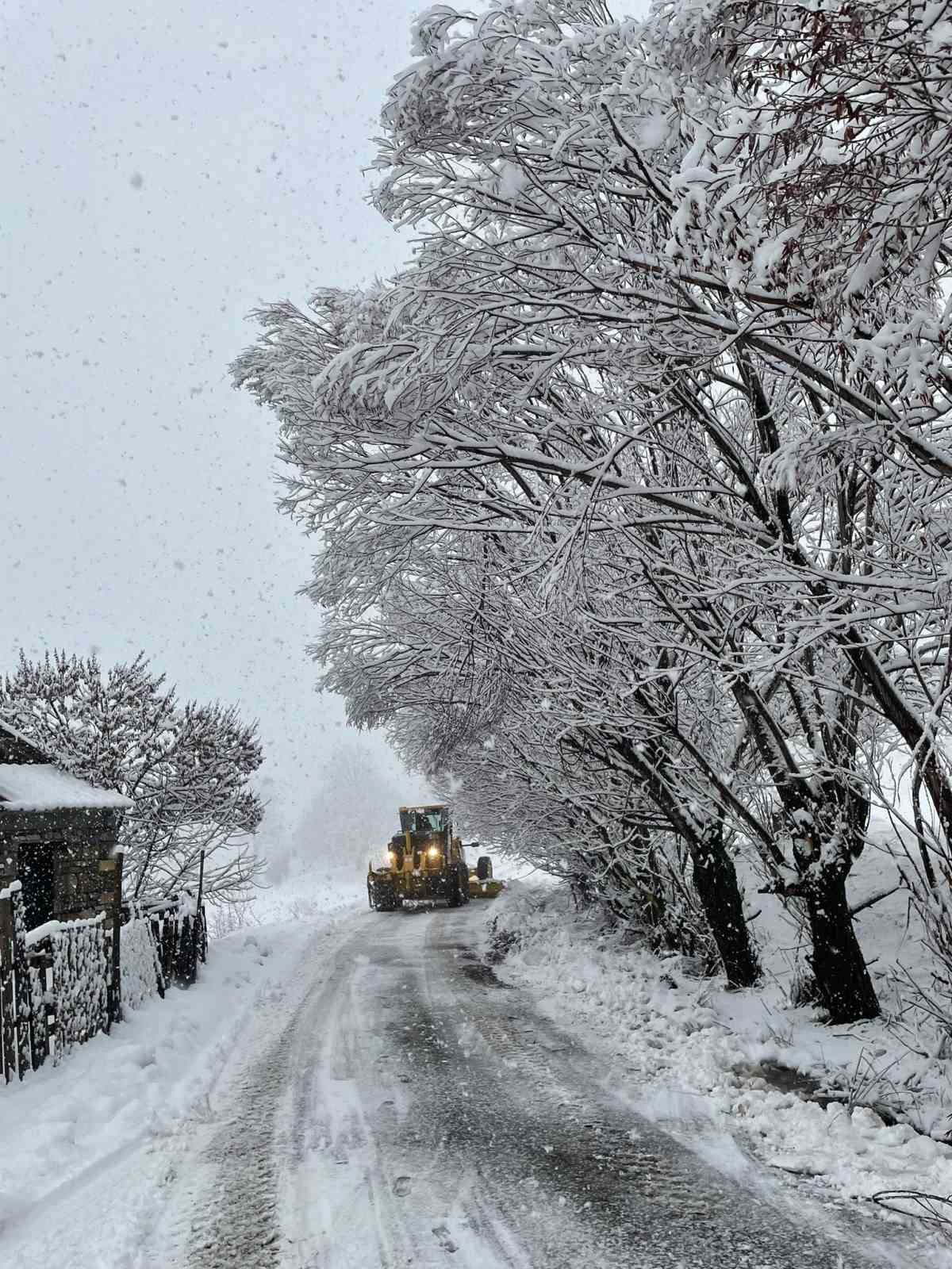 Tuncelide Beyaz Esaret: 222 Köy Yolu Kapandı