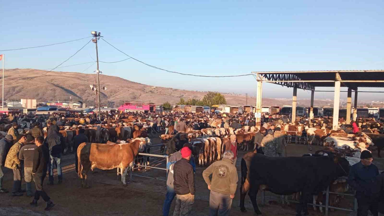 Yozgatta Üç İlçede Hayvan Pazarları Geçici Olarak Kapatıldı